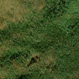 Satellite imagery of Upper Trail Ridge, US