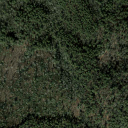 Satellite imagery of Chattooga Cliffs, US