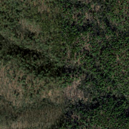 Satellite imagery of Long Spur Ridge, US