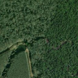 Satellite imagery of LOOP — NGS FF1473 — Lonoke County, US, US