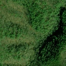 Satellite imagery of Fork Ridge, US