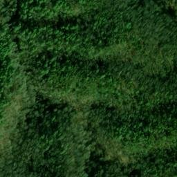 Satellite imagery of Fork Ridge, US