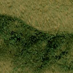 Satellite imagery of Upper Trail Ridge, US