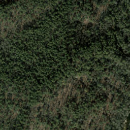 Satellite imagery of Chattooga Cliffs, US