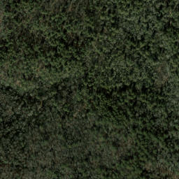 Satellite imagery of Chattooga Cliffs, US