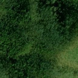 Satellite imagery of Fork Ridge, US