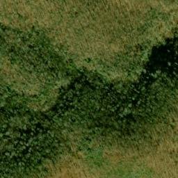 Satellite imagery of Upper Trail Ridge, US