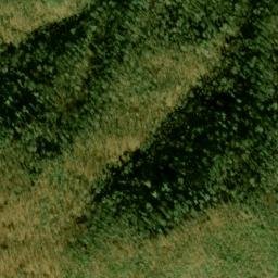 Satellite imagery of Upper Trail Ridge, US