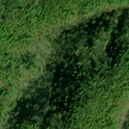 Satellite imagery of Fork Ridge, US