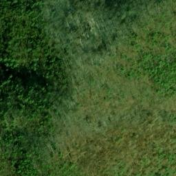 Satellite imagery of Fork Ridge, US