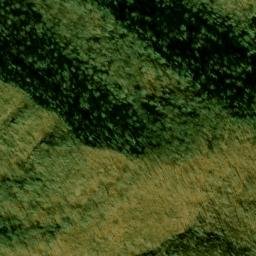 Satellite imagery of Fork Ridge, US