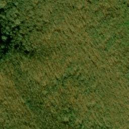 Satellite imagery of Fork Ridge, US