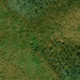 Satellite imagery of Fork Ridge, US