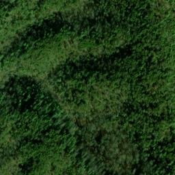 Satellite imagery of Wolf Ridge, US