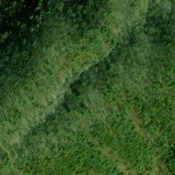 Satellite imagery of Fork Ridge, US