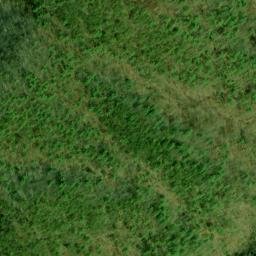 Satellite imagery of Fork Ridge, US