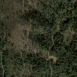 Satellite imagery of Chattooga Ridge, US