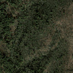 Satellite imagery of Chattooga Ridge, US