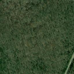 Satellite imagery of Cedar Ridge, US