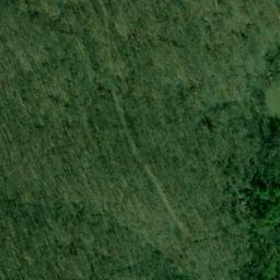 Satellite imagery of Pitcher Ridge, US