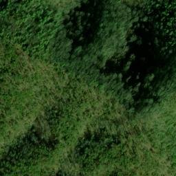 Satellite imagery of Wolf Ridge, US