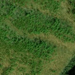 Satellite imagery of Fork Ridge, US