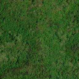 Satellite imagery of Kitty Ridge, US