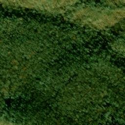 Satellite imagery of Fork Ridge, US