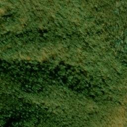 Satellite imagery of Fork Ridge, US