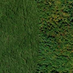 Satellite imagery of Gnat Ridge, US