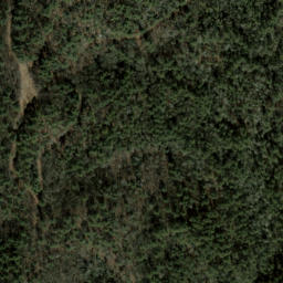 Satellite imagery of Chattooga Ridge, US