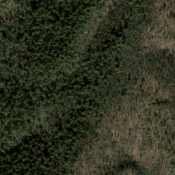 Satellite imagery of Chattooga Ridge, US