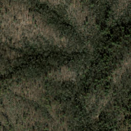 Satellite imagery of Chattooga Ridge, US