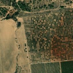 Satellite imagery of Djebel Râs el ’Aïn, DZ