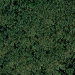 Satellite imagery of Point Park, US