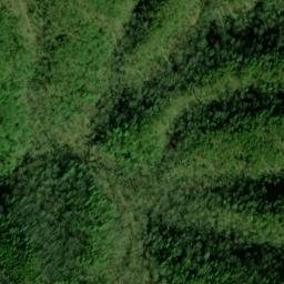 Satellite imagery of Wolf Ridge, US