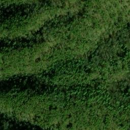 Satellite imagery of Wolf Ridge, US