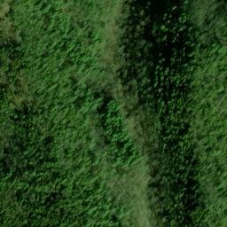 Satellite imagery of Wolf Ridge, US