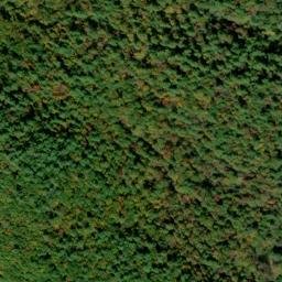 Satellite imagery of Gnat Ridge, US
