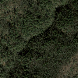 Satellite imagery of Chattooga Ridge, US