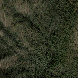 Satellite imagery of Chattooga Ridge, US