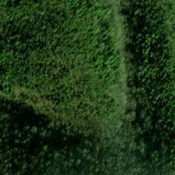 Satellite imagery of Fork Ridge, US