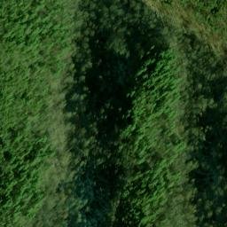 Satellite imagery of Fork Ridge, US