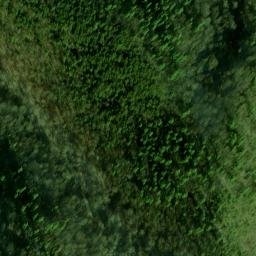 Satellite imagery of Fork Ridge, US
