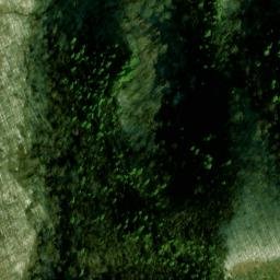 Satellite imagery of Licklog Ridge, US