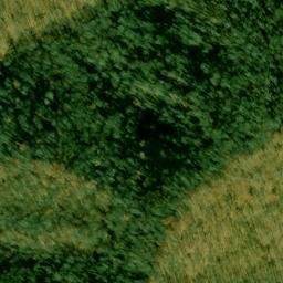Satellite imagery of Scaly Ridge, US