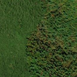 Satellite imagery of Gnat Ridge, US