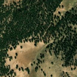 Satellite imagery of Mesraf es Seghir, DZ