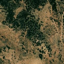 Satellite imagery of Argoub el Hasse, DZ