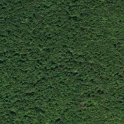 Satellite imagery of Lodge Point, US